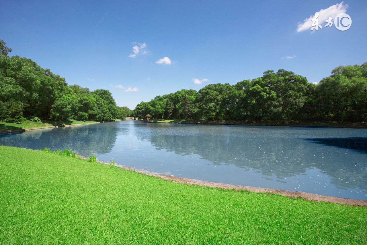 一心念佛守清规,念佛一心不乱的标准