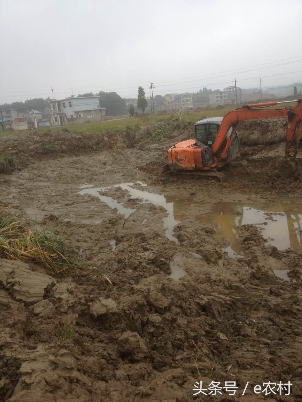 致富经养石蛙近期视频,cctv7致富经酿酒