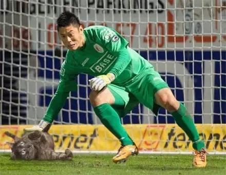 足球ps版,把足球p成猫