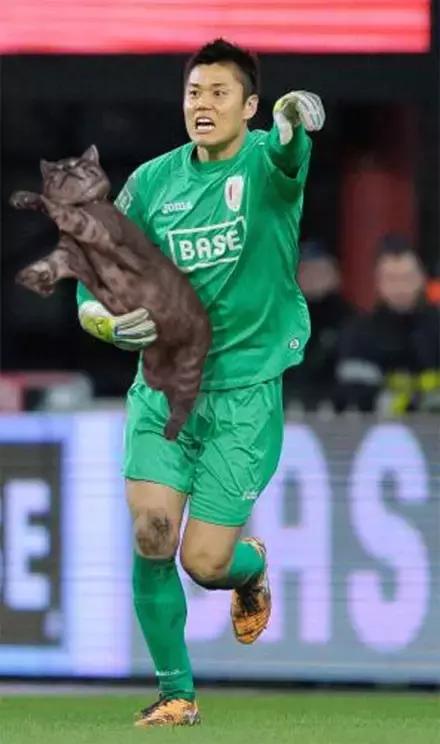 足球ps版,把足球p成猫