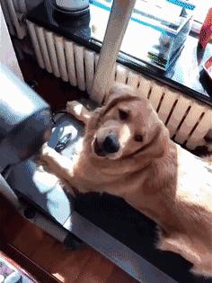 足球ps版,把足球p成猫