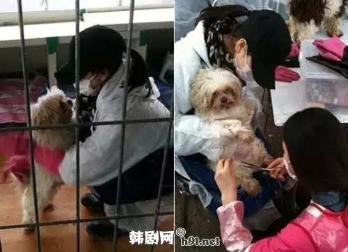 宋仲基宋慧乔为什么相处难,宋慧乔和宋仲基为什么会分开