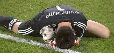 足球ps版,把足球p成猫