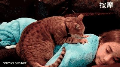 足球ps版,把足球p成猫