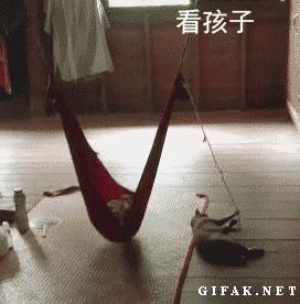 足球ps版,把足球p成猫