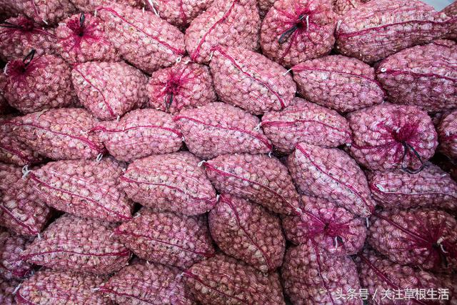 在农村收购大蒜卖给金乡冷库,农村商贩收购大蒜