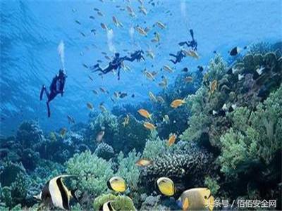 我们在潜水时该关注什么？