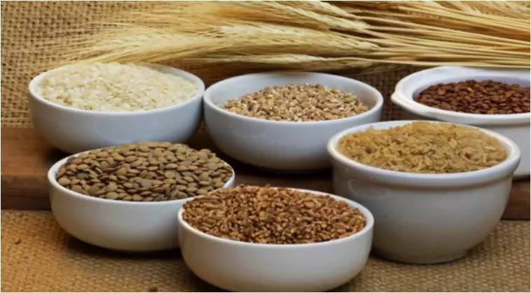 谷物大脑可信吗,谷物大脑的观点可信吗