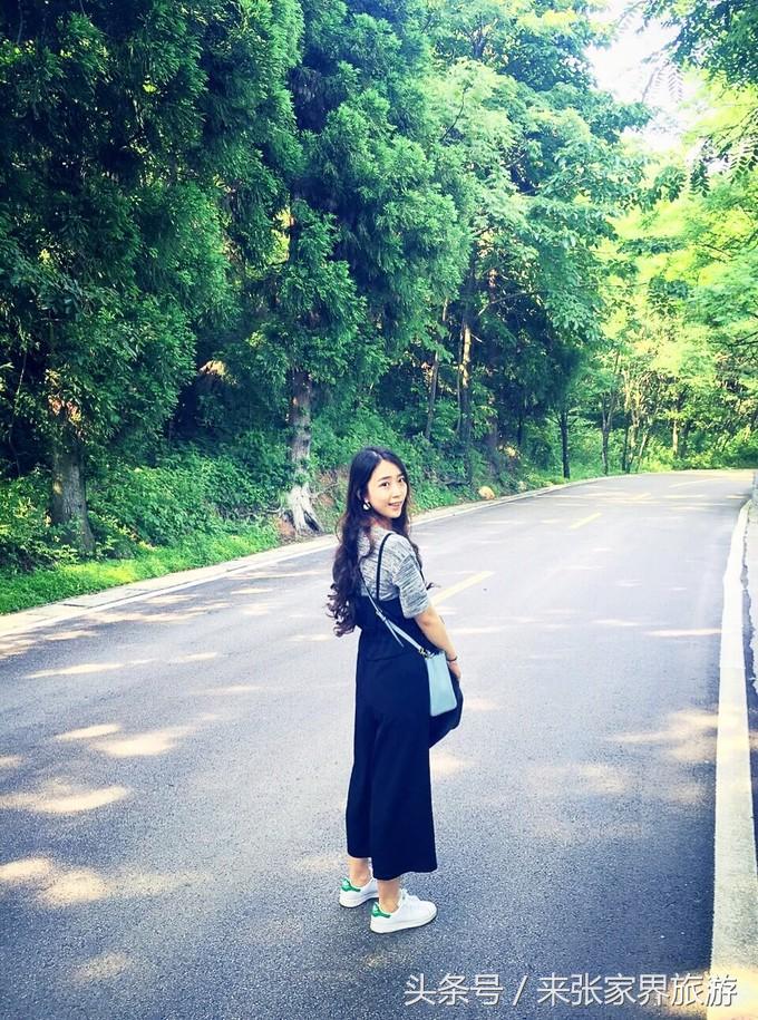 张家界凤凰4日游攻略,张家界凤凰五日游线路图片