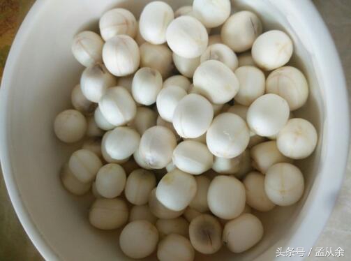 莲蓬豆腐正宗做法,又到吃莲蓬季节了