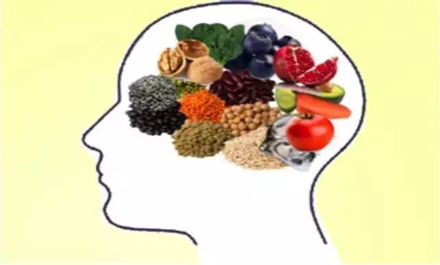 谷物大脑可信吗,谷物大脑的观点可信吗