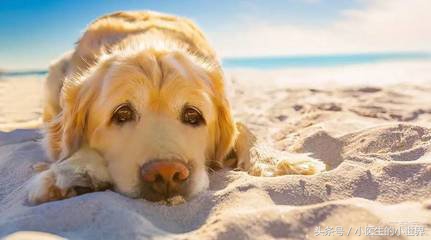 40多度天气下大概多久中暑,40摄氏度的环境多久中暑