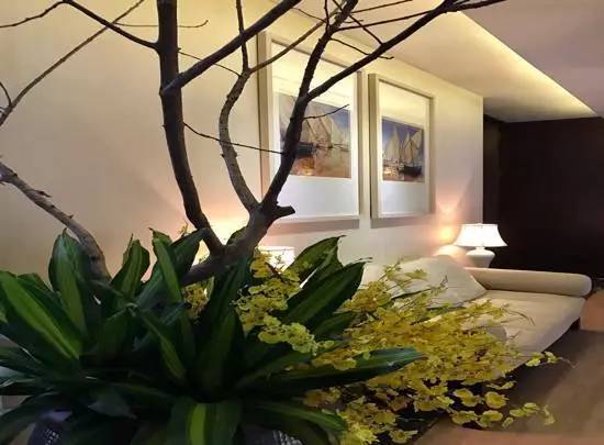 高远品质生活全集,崇高品质生活