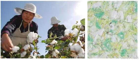 墙衣“三无、*不五**”是什么梗？戳戳看涨姿势……