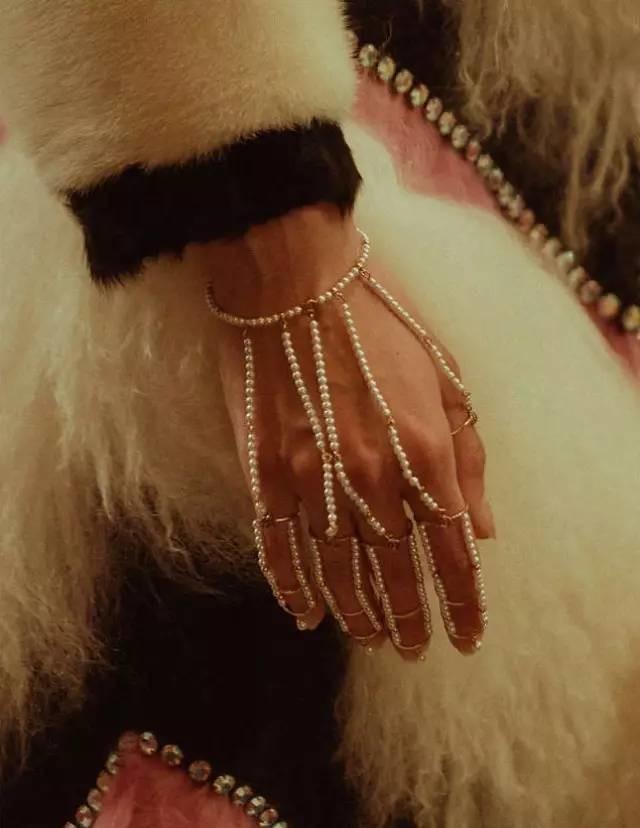 你们放假事情多吗,gucci十五件事