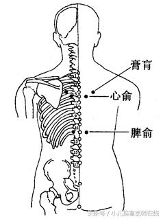 颈椎病三伏贴贴哪几个穴位,膝盖疼贴三伏贴贴哪个穴位最好