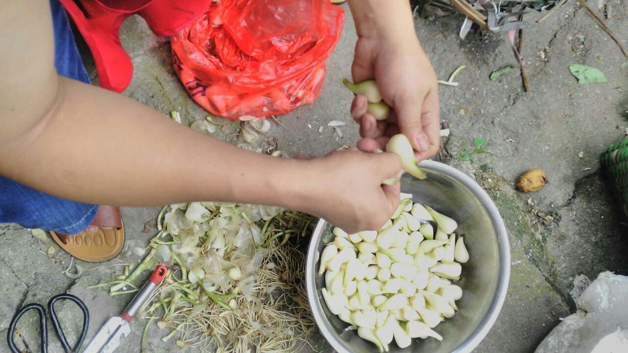 藠头的腌制方法最简单的,腌酸甜藠头的做法