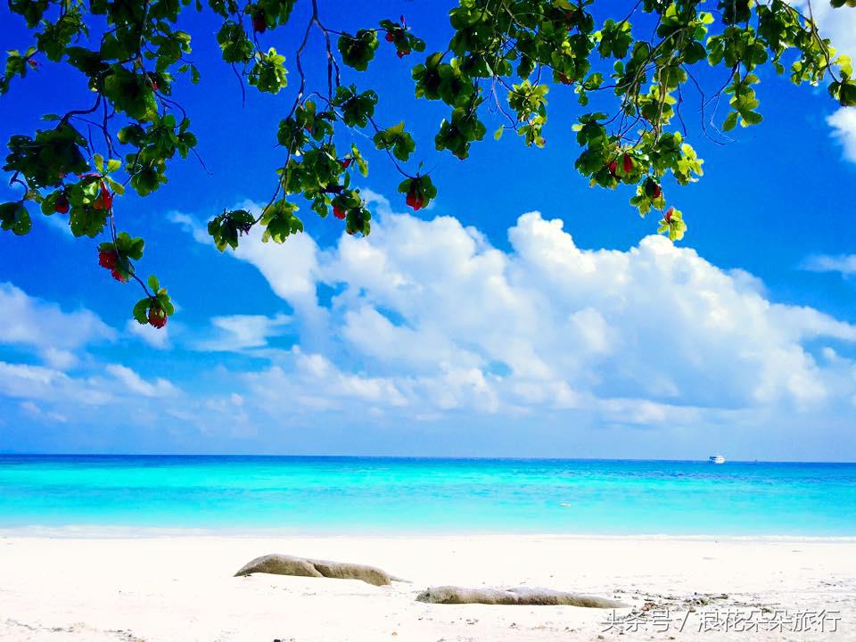 送给斯米兰的小情歌，陪你去看浪花朵朵！