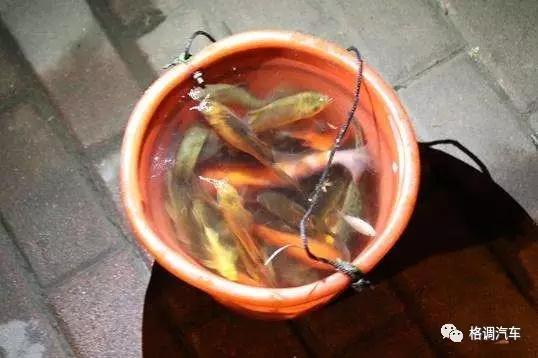 毕业青岛旅游攻略,青岛毕业旅行三日游