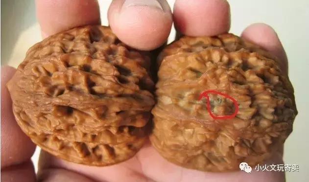 新手怎么选购文玩三棱核桃,文玩核桃怎么保养