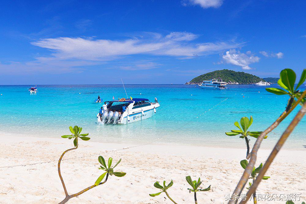 送给斯米兰的小情歌，陪你去看浪花朵朵！