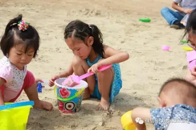 去海边不能做的事情,去海边一定要关注这些事