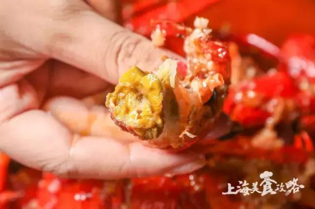 魔都最火的店,魔都超好吃的8家小笼汤包店