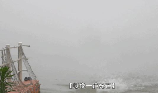 许巍唱朴树的歌,许巍朴树歌曲完整版