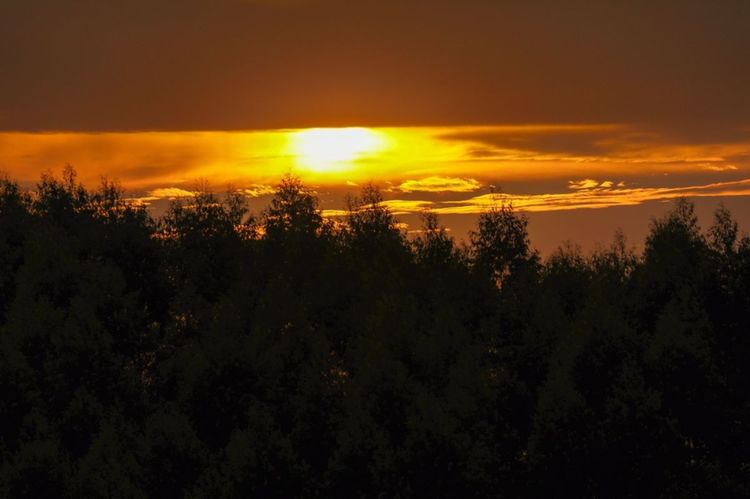 全国各地烤全羊,万人吃烤全羊