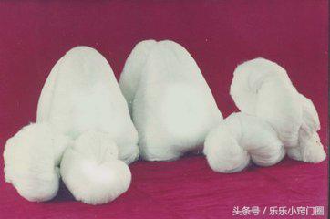 针织羊毛衫如何挑选毛线 (织兔毛毛线衣)