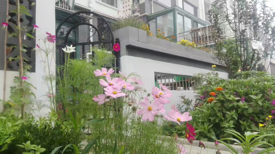 中年以后要懂得人情冷暖,中年人好忘事