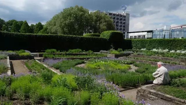 2016icc国际冠军杯门票,2019年国际冠军杯门票