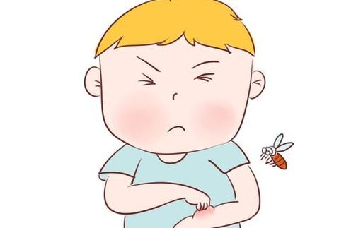 什么蚊虫咬了红疙瘩很痒三天不消,被蚊虫咬了鼓个大包怎么办