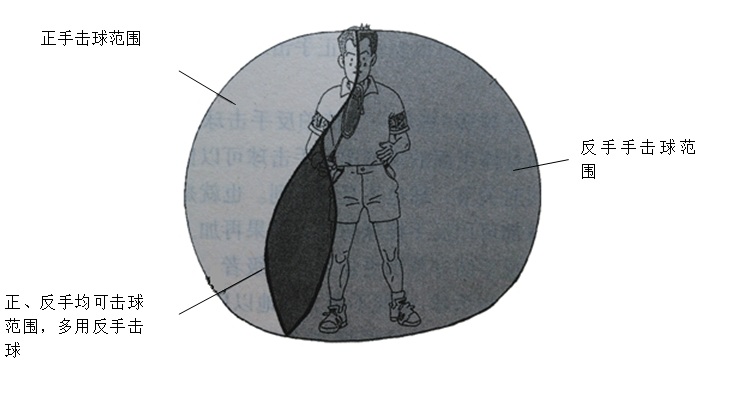 正规羽毛球打法全过程,羽毛球运动教学解析