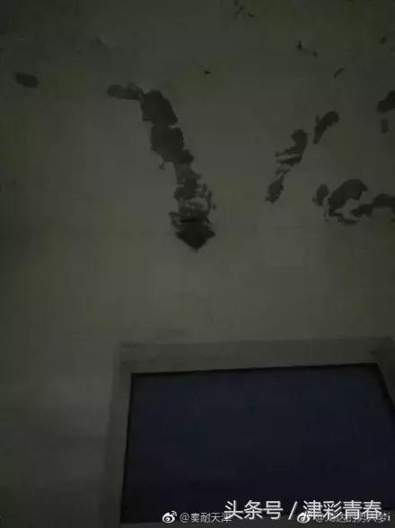 暖哭！天津版小燕子由我们来守护！