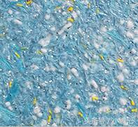 墙衣“三无、*不五**”是什么梗？戳戳看涨姿势……