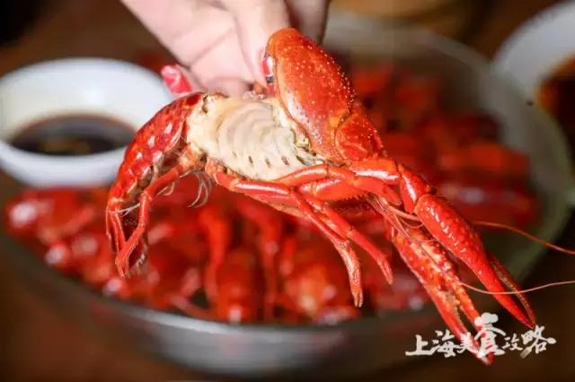 魔都最火的店,魔都超好吃的8家小笼汤包店