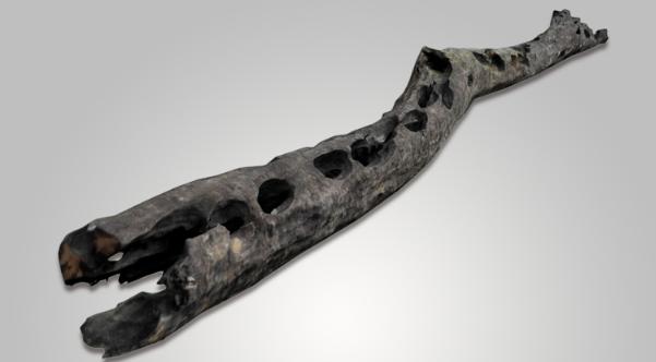 阴沉木金丝楠现在值多少钱,河里普通十年阴沉木值多少钱