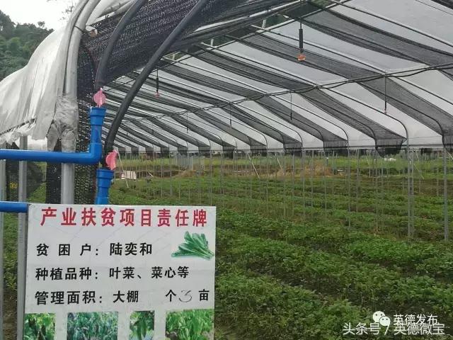 甯﹀姩鍛ㄨ竟鍐滄埛澧炴敹鑷村瘜,甯﹀姩鏉戞皯绉嶆缁忔祹浣滅墿鑷村瘜