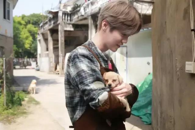 鹿晗约吧大明星,鹿晗关晓彤2017新年愿望