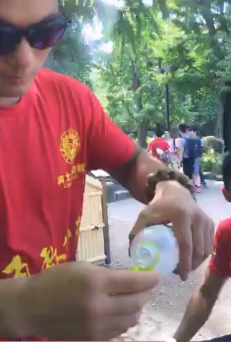 邱建良败于日本拳王最新视频,邱建良ko日本k1冠军