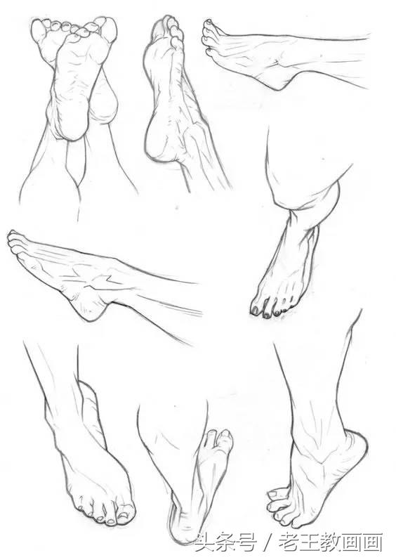 教100个零基础画画小白,零基础自学绘画入门书