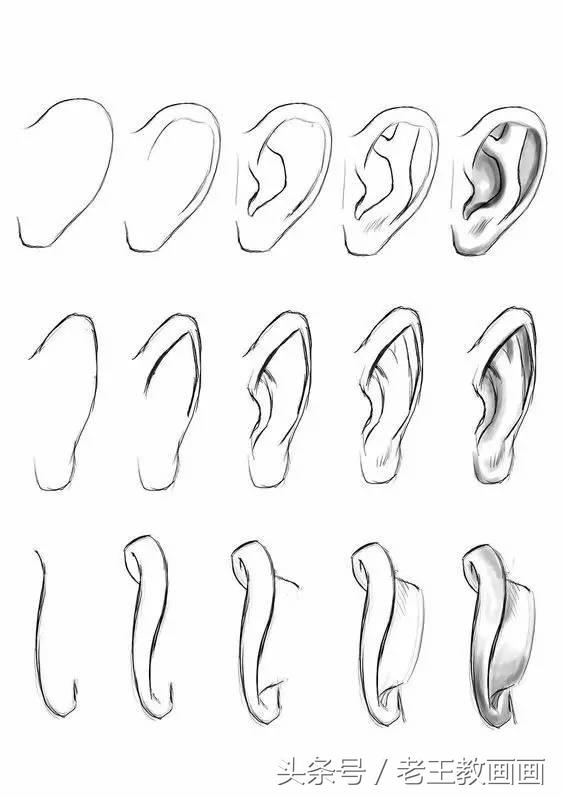 教100个零基础画画小白,零基础自学绘画入门书