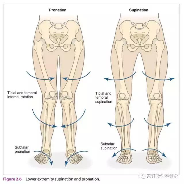 xo型腿怎么矫正和瘦腿,xo型腿怎么矫正视频