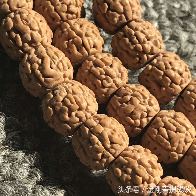 金刚菩提纹路里反碱,六瓣雪花金刚菩提纹路