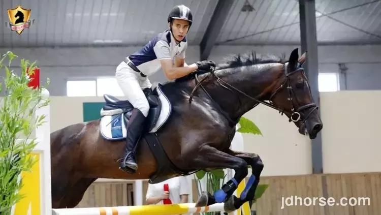 马术联赛总决赛,2019马术比赛鸟巢之路