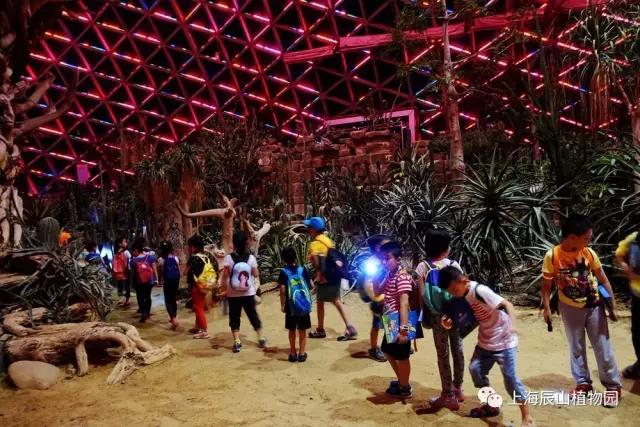 松江最嗨皮的酒吧,上海好玩的夜场推荐