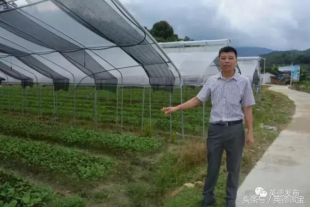 甯﹀姩鍛ㄨ竟鍐滄埛澧炴敹鑷村瘜,甯﹀姩鏉戞皯绉嶆缁忔祹浣滅墿鑷村瘜