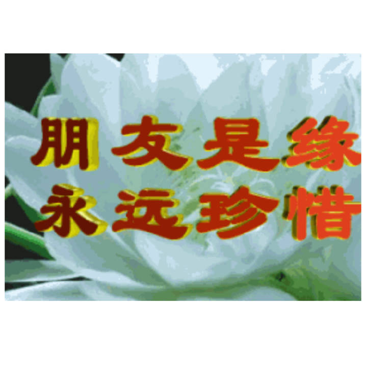 正能量表情包大全动态图片,正能量的表情包和图片