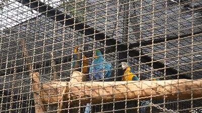 乖萌小动物,乖萌动物